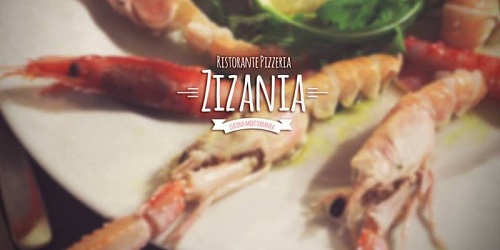 ZIZANIA RISTORANTE SALA BANCHETTI PIZZERIA