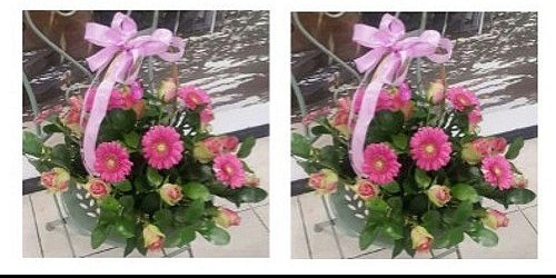 FRAGRANT FLOWERS