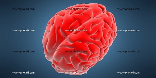 Médico Neurólogo