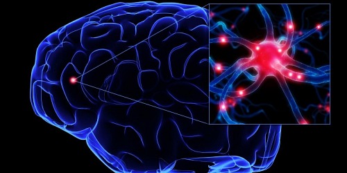 Médico Neurólogo