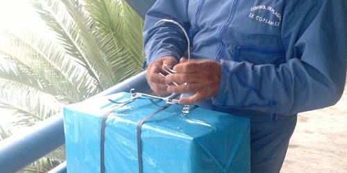 SECOPLAMEX Control de Plagas