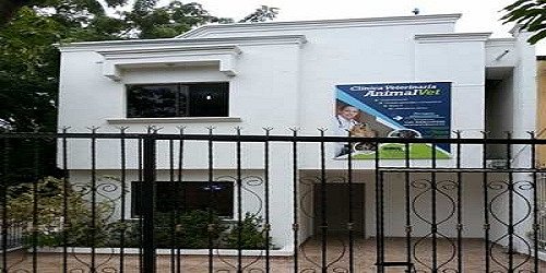 Clínica Veterinaria Animalvet - Veterinarias en Riohacha