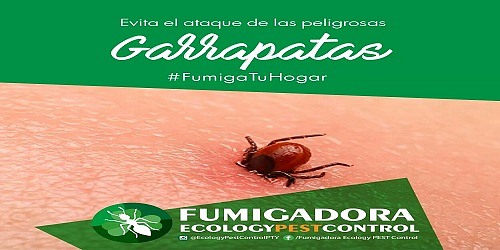 Fumigadora Ecology Pest Control