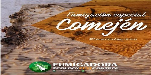 Fumigadora Ecology Pest Control