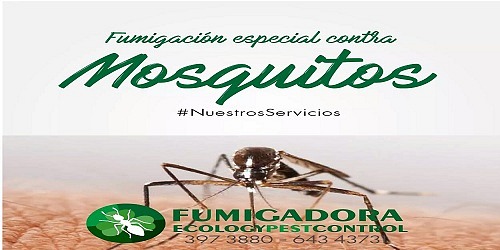 Fumigadora Ecology Pest Control
