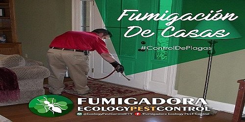 Fumigadora Ecology Pest Control