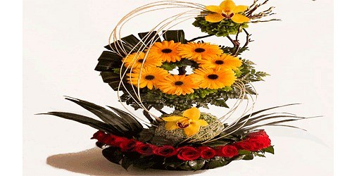 Floristeria y Relieves Santafe