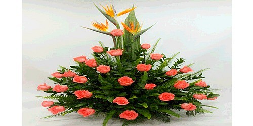 Floristeria y Relieves Santafe