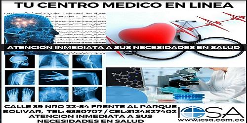ICSA S.A.