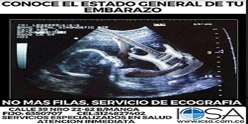 ICSA S.A.