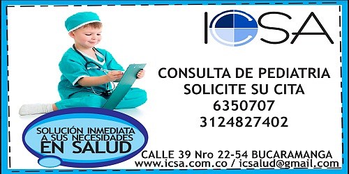 ICSA S.A.