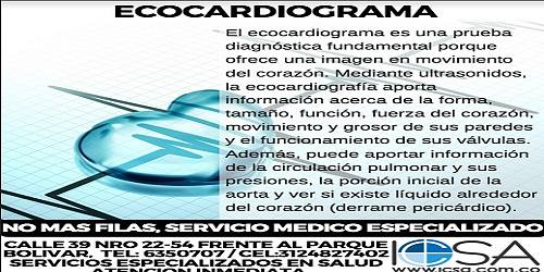ICSA S.A.
