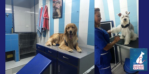 Veterinaría Animal Center-Villas de Granada
