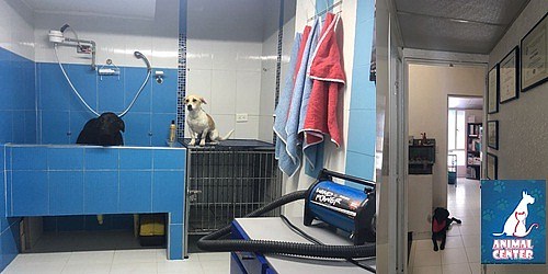 Veterinaría Animal Center-Villas de Granada