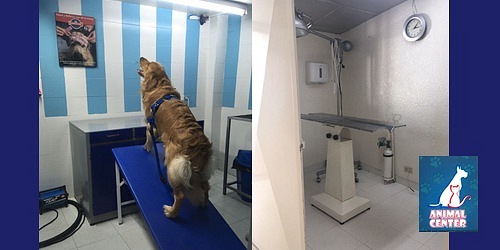 Veterinaría Animal Center-Villas de Granada