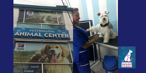 Veterinaría Animal Center-Villas de Granada