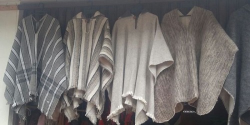 Tapetes cajica DECORARTE