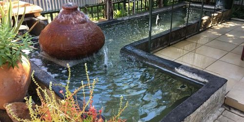 PAFURI SELF CATERING ACCOMMODATION