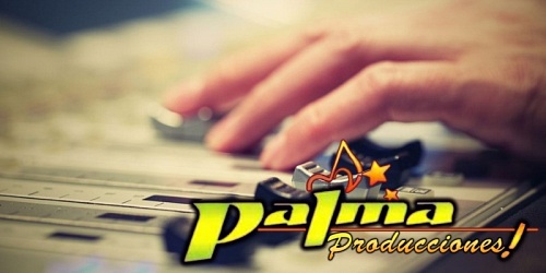 PALMA PRODUCCIONES FELIPE PALMA Empresario