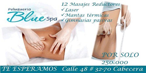 Peluqueria Blue Spa