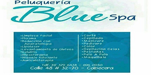 Peluqueria Blue Spa