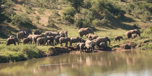 Kambaku River Lodge