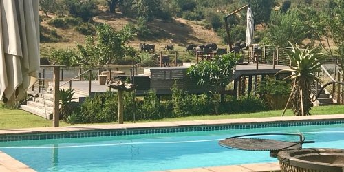 Kambaku River Lodge