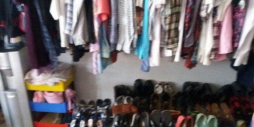 Charity Shop for Paws