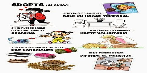 MASCOTAS TRAVIESAS CALI