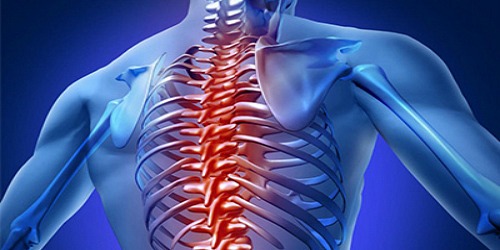 Médico Especialista en Traumatología y Ortopedia
