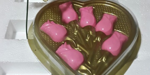 Chocodelisa