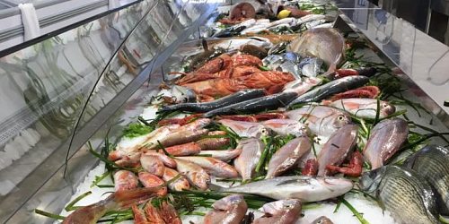 Isola Fish
