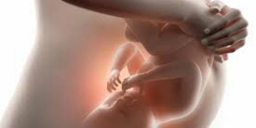 Especialista en Ginecología y Obstetricia, Colposcopista