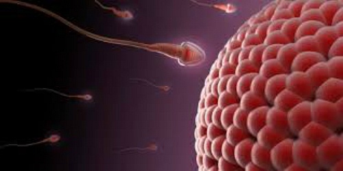Especialista en Ginecología y Obstetricia, Colposcopista