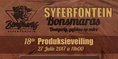 Syferfontein Bonsmaras