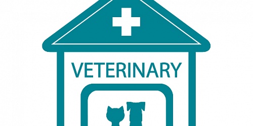 Clínica Veterinaria FRAGA