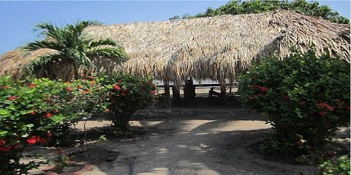 kabod caribbean