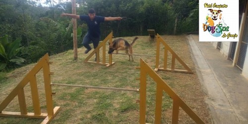 DOG SPA MOVIL