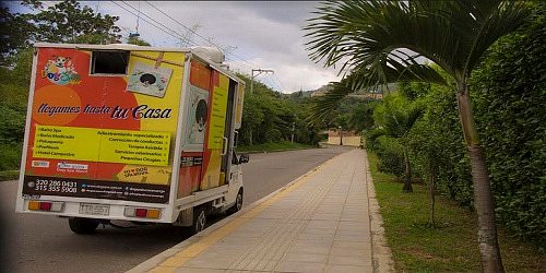 DOG SPA MOVIL