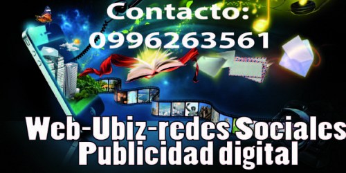 Accel Marketing