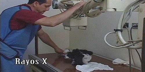 CENTRO VETERINARIO DOCENTE DON BLAS, C.A