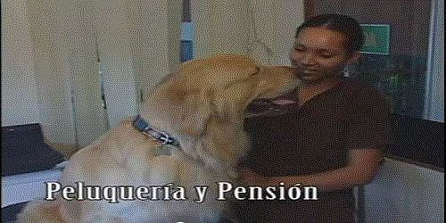 CENTRO VETERINARIO DOCENTE DON BLAS, C.A