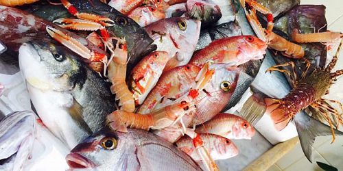 SAPORE DI MARE PESCHERIA RIBERA