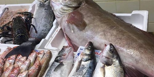 SAPORE DI MARE PESCHERIA RIBERA