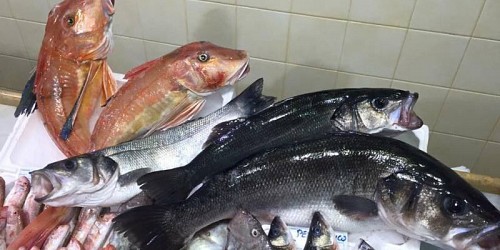SAPORE DI MARE PESCHERIA RIBERA