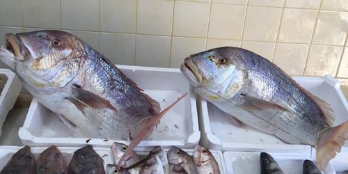SAPORE DI MARE PESCHERIA RIBERA