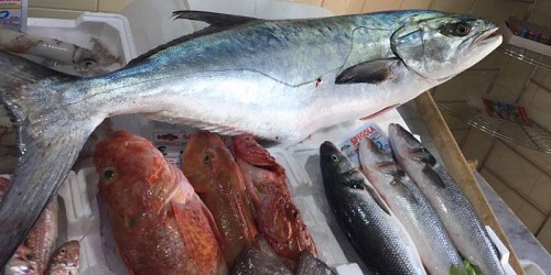 SAPORE DI MARE PESCHERIA RIBERA