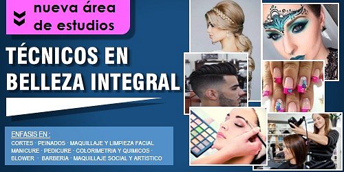 INSTITUTO TECNI - INCAS Y CIA LTDA