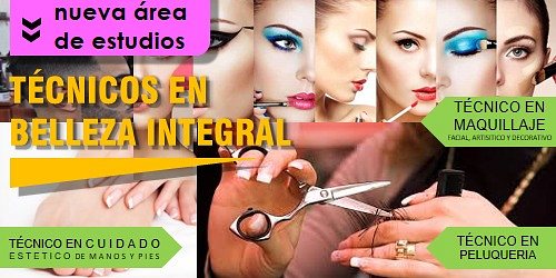 INSTITUTO TECNI - INCAS Y CIA LTDA