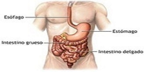 Gastroenterologo Dr Medardo Rosero Ramos